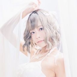 す組