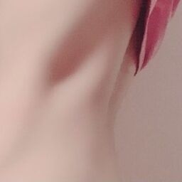 ぱぴこと腹筋を鍛え愛でる会