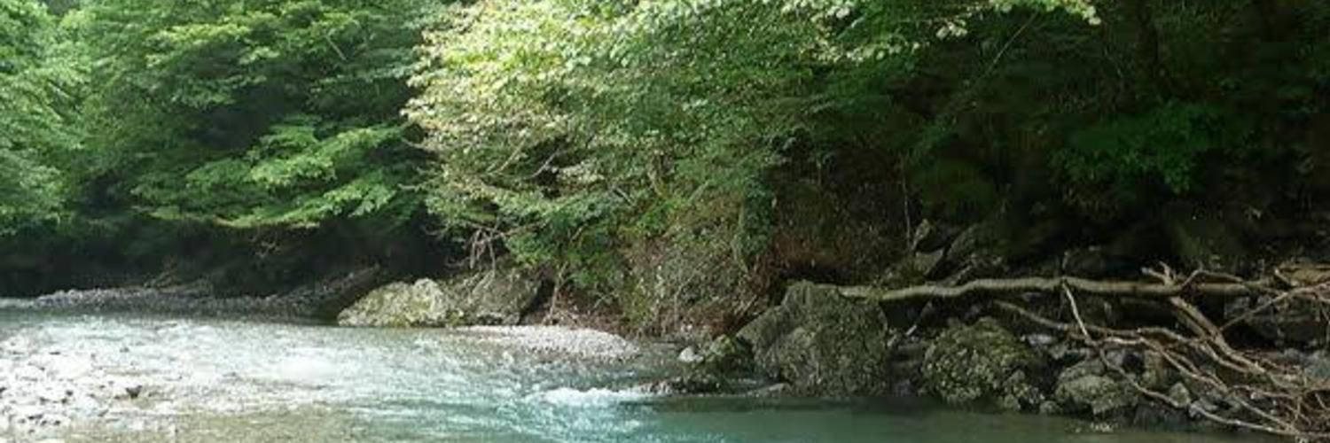 🍓県民ファンクラブ