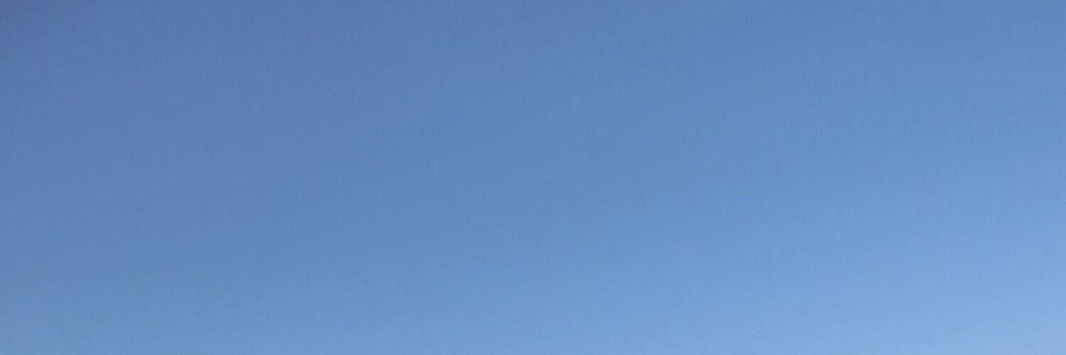 日常+性活