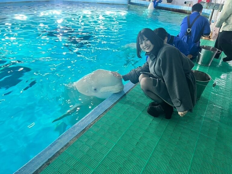 シロイルカのおでこは
