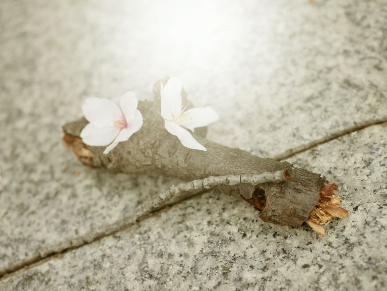 こんばんは☽︎‪︎.*·̩͙‬