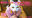 見つめながらの抜群のフェラテクを自慢気に見せつける瑞穂。