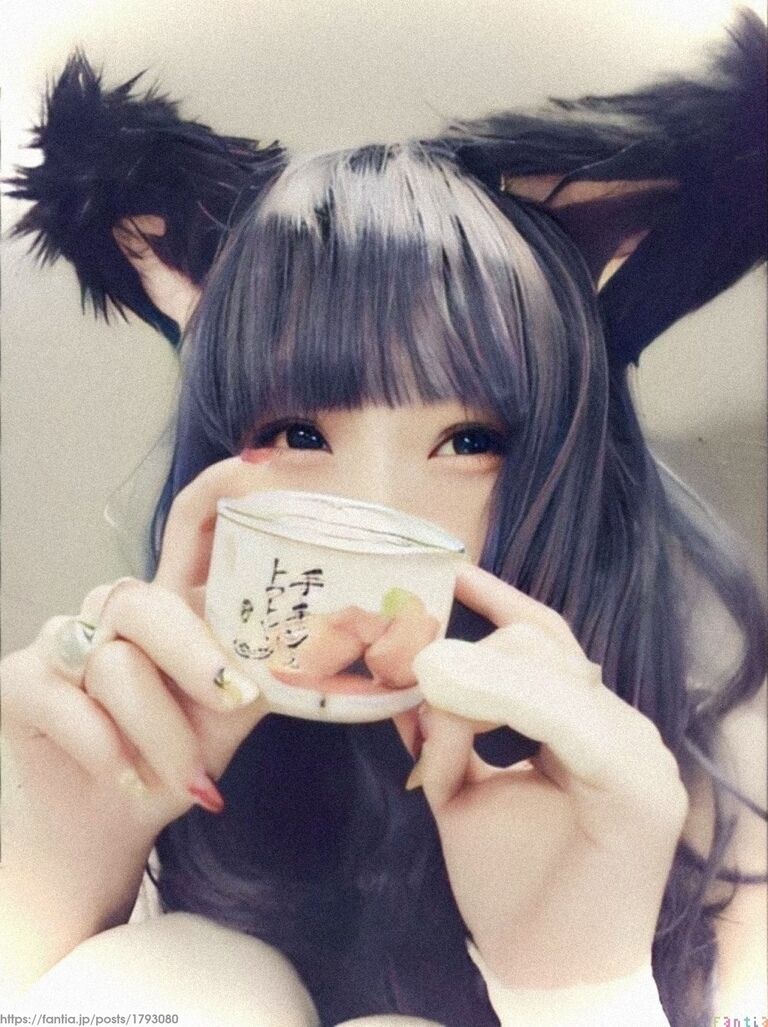 ニャンニャンニャンの日