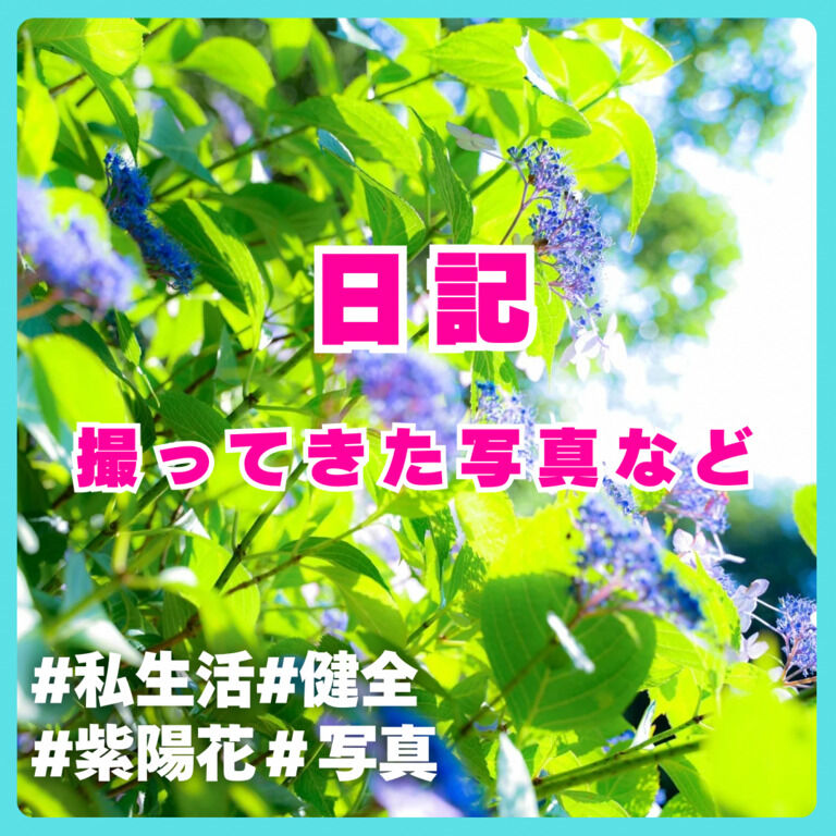 健全日記投稿