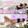 <㊙️隠し撮り>プライベートでの”素のオナニー”公開しちゃいます💕