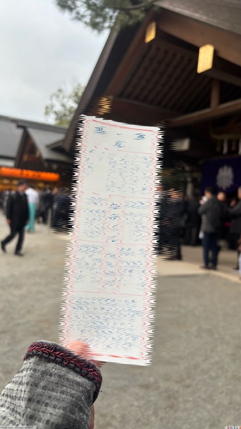 人生初の初詣に行ってきました🎋.*･ﾟ