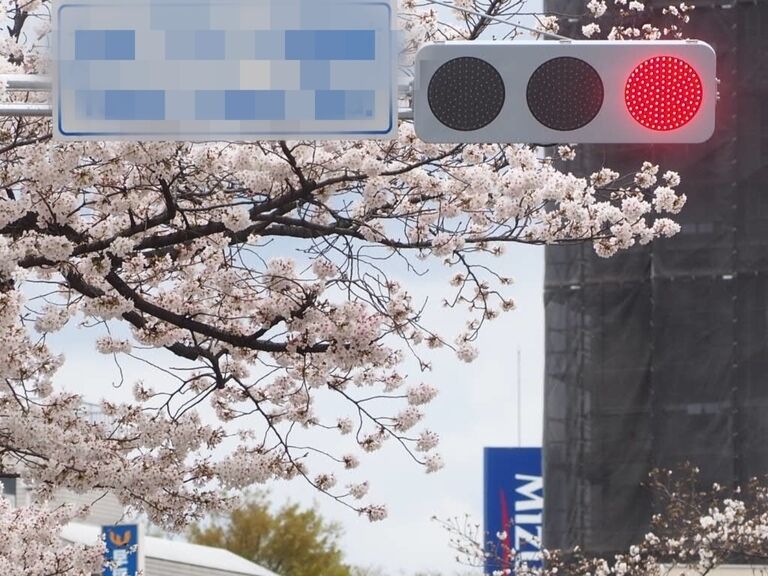 ばいぶう