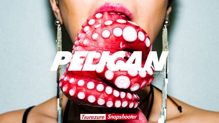 PELICAN - THE MOUTH 2