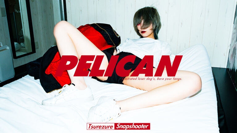 PELICAN - THE AFTER “HAIKAI” 4